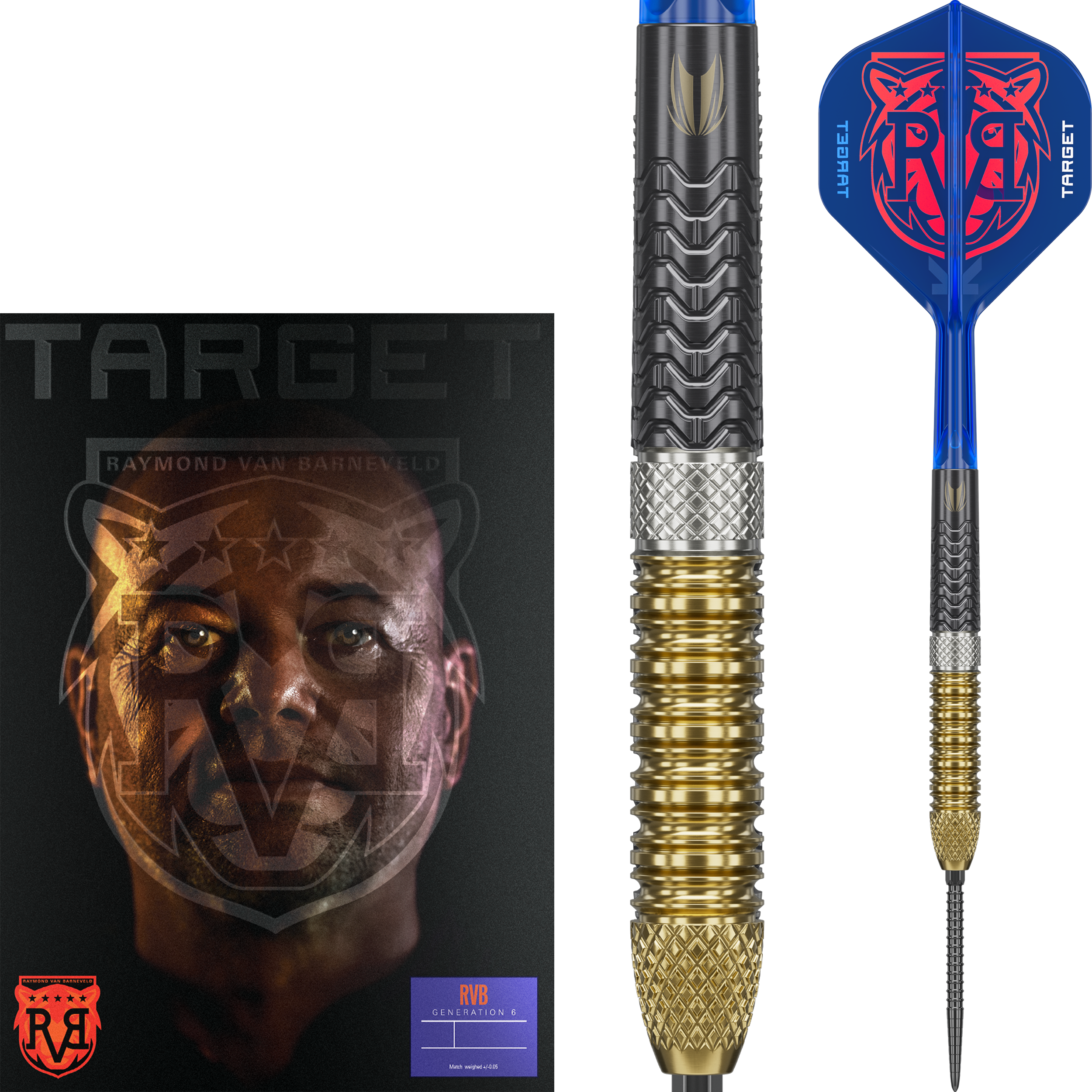 Target Swiss Point Raymond van Barneveld 25 95% Steeldart